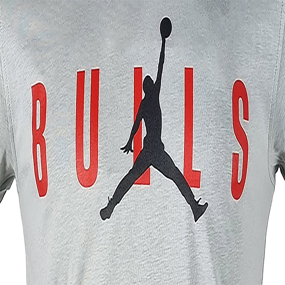 New Era Air Jordan Bulls Erkek T-Shirt Nane Yeşili